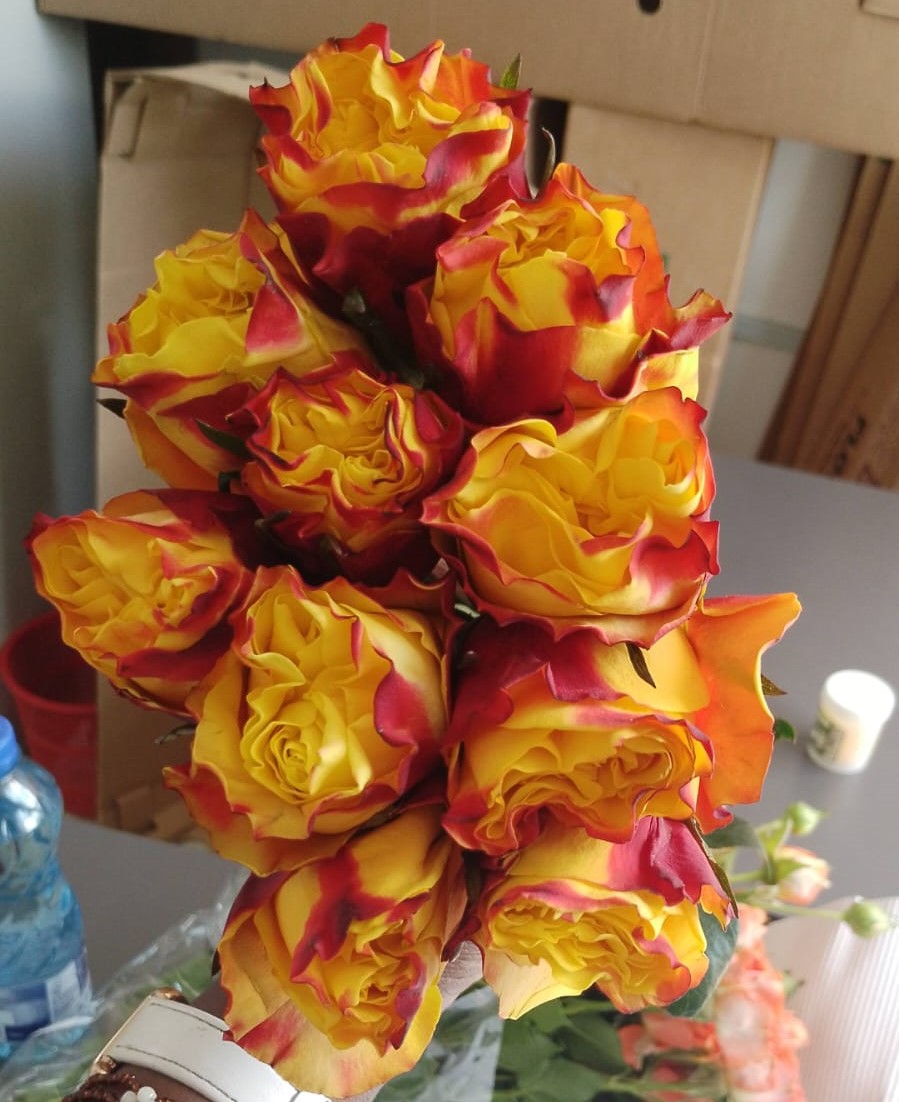 Countdown Roses