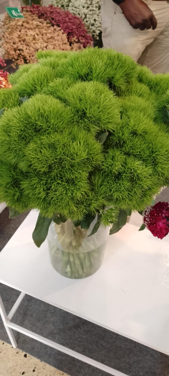 Kiwi Mellow
