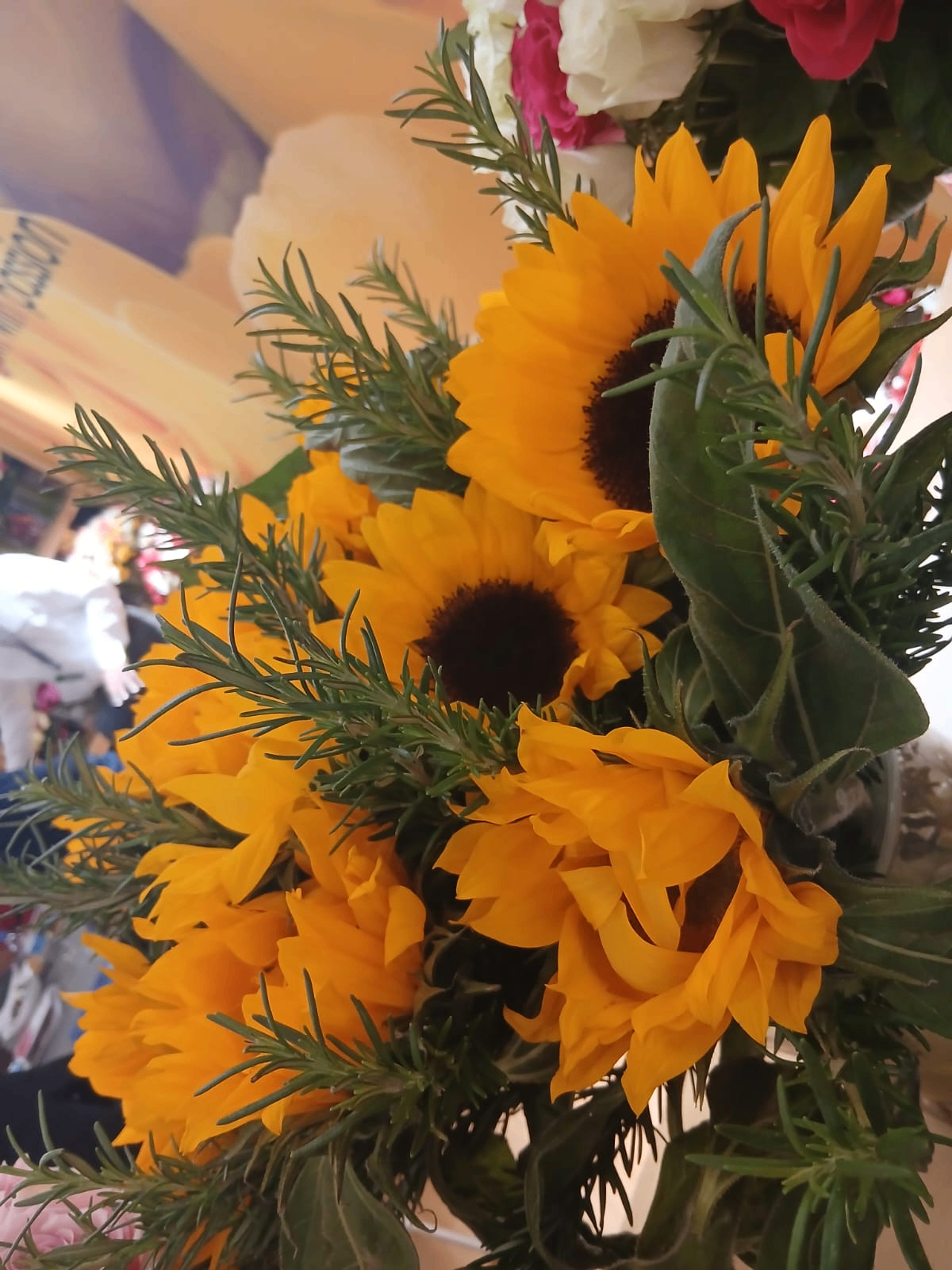 Sunflower